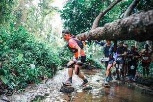 BIB: 
                            <button type="button" onclick="openModal(25372036)" class="btn btn-primary btn-sm float-right btn-popup" data-toggle="modal" data-target=".modal-high-quality">
                        <i class="fas fa-shopping-cart"></i> Add to Cart
                    </button>
                                            <button type="button" onclick="isThisMe(25372036, true)" class="btn btn-success btn-sm float-right btn-popup btn-isme hidden" data-toggle="tooltip" data-placement="bottom" title="นี่คือรูปของคุณใช่ไหม คลิกที่นี่เพื่อเอาเข้าอัลบั้ม">
                        <i class="fas fa-plus"></i> Add to album
                    </button>
                    <button type="button" onclick="isThisMe(25372036, false)" class="btn btn-warning btn-sm float-right btn-popup btn-isnotme hidden">
                        <i class="fas fa-ban"></i> Remove from album
                    </button>